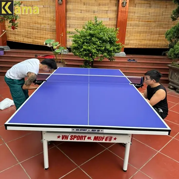 Bàn bóng bàn Vnsport MDF08